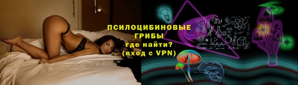 дживик Абаза