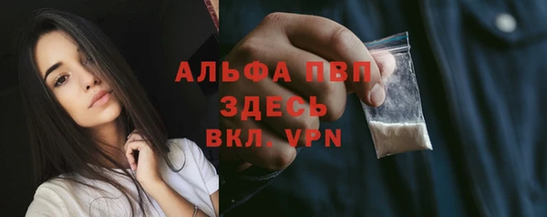 дживик Абаза