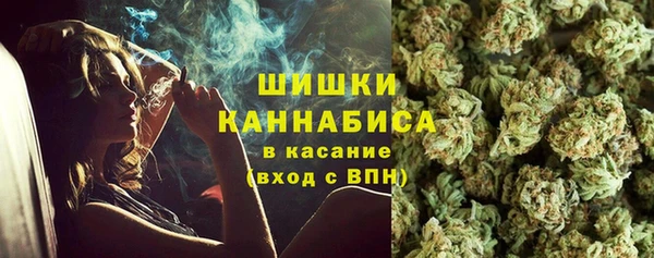 дживик Абаза