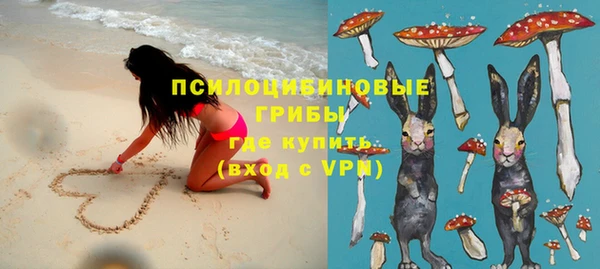 шишки Абдулино
