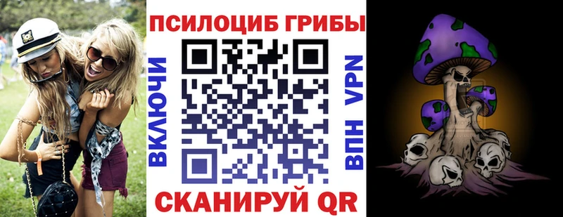 как найти закладки  Циолковский  Псилоцибиновые грибы мицелий 